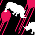caddislax-rhino-1
